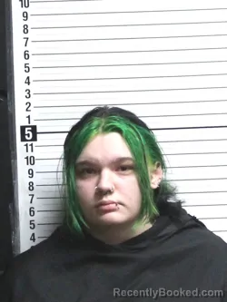 Mugshot of GABRIELLA ELISE WELLS