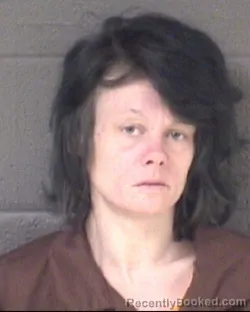 Mugshot of AMANDA LEIGH HILL