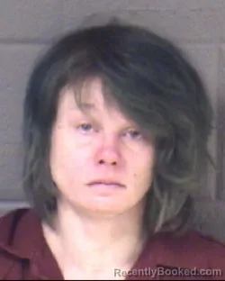 Mugshot of AMANDA LEIGH HILL