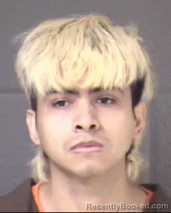 Mugshot of JUAN RAMON JUAREZ-TALAMANTES