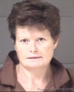 Mugshot of JENNIFER LYNN REEMES