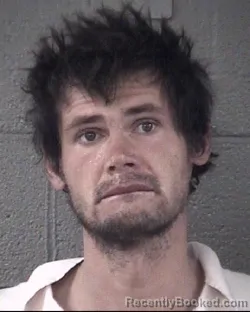 Mugshot of LOGAN WILLIAM DAVIS