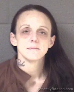 Mugshot of NATASHA NICOLE MCELREATH