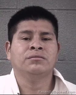 Mugshot of RENEE SANCHEZ-SALES