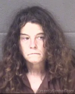 Mugshot of TRACY ANNE RAMSEY