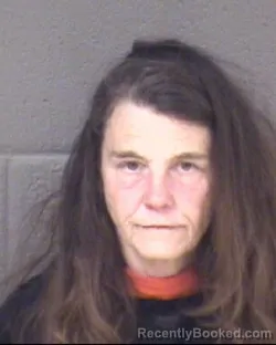 Mugshot of TRACY ANNE RAMSEY