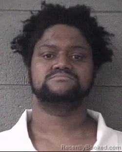 Mugshot of TRAVIS ANDROPOLIS WILKINS