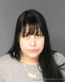 Mugshot of YARIENNIS CALZADO-HERRERA