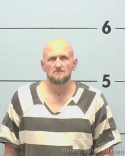 Mugshot of DEREK LANE MCADAMS