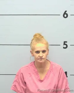 Mugshot of JUANITA HENSLEY