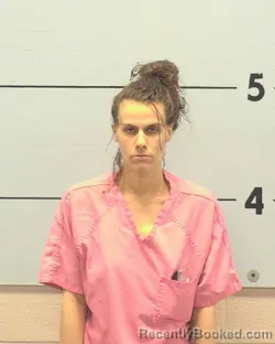 Mugshot of COURTNEY ELIZABETH BARR