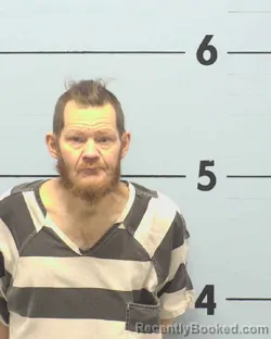 Mugshot of DAVID RAY THOMAS