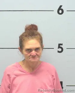 Mugshot of CHRYSTAL GAIL CLARK