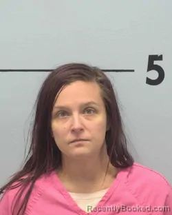 Mugshot of DESIREE LYNN BOVEE