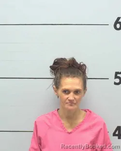 Mugshot of STEPHANIE NICHOLE LAWRENCE