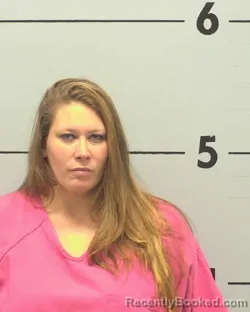 Mugshot of AMY DENICE HERRON