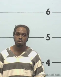 Mugshot of JAMES QUALANE BURGESS