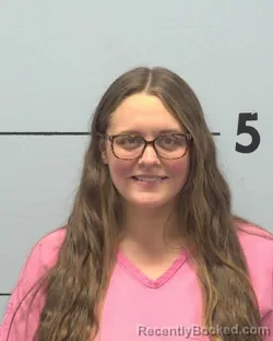 Mugshot of SARAH ANN SHEHAN