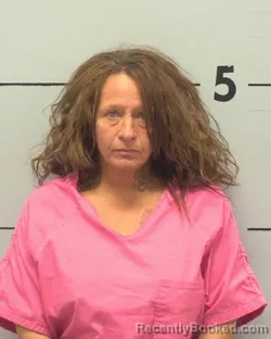 Mugshot of JESSICA IRENE SHUPE