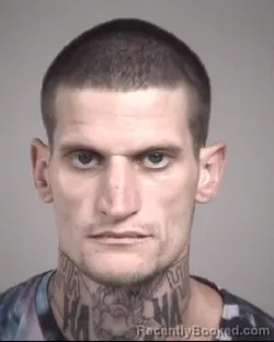 Mugshot of GERALD WAYNE HENRY