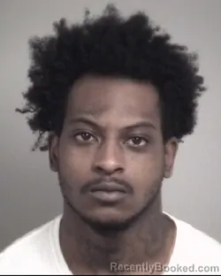 Mugshot of NICOLIA AMERION FORTE