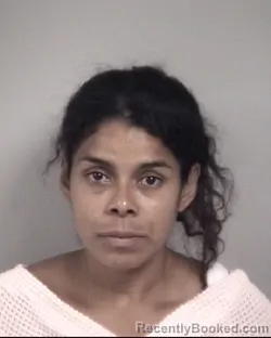 Mugshot of ELIZABETH VALADEZ