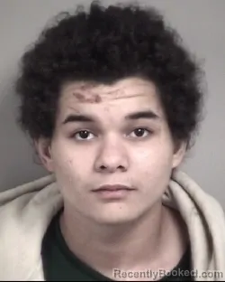 Mugshot of CHRISTOPHER RANDOLPH LAWSON