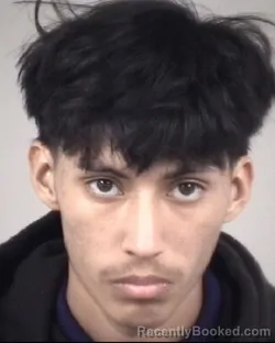 Mugshot of WILVER EFRAIN GAMBOA URIAS