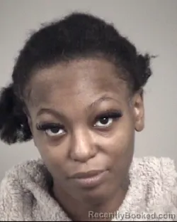 Mugshot of KAYLA MARIE HOLMES