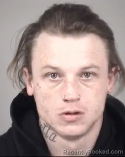 Mugshot of BRANDON LEE FURR