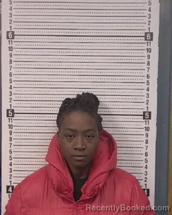 Mugshot of JANEL OLIVIA PERRY