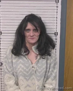 Mugshot of BRITTANY DANIELLE HOY