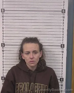 Mugshot of ANGEL ELAINE SMITH