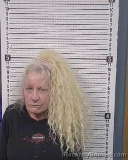 Mugshot of RHONDA ANN JOHNSON