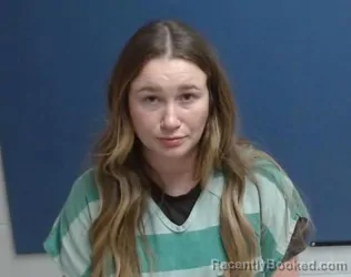 Mugshot of Michelle Ann Mitchell