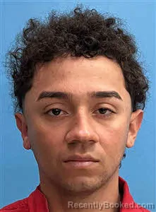 Booking photo from Desoto County, Florida