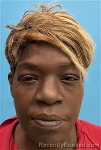 Mugshot of Tasha Idella Brown