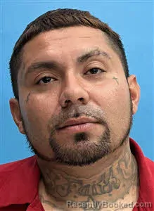 Mugshot of Ricardo Castillo