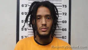 Mugshot of NOEL ALLEN