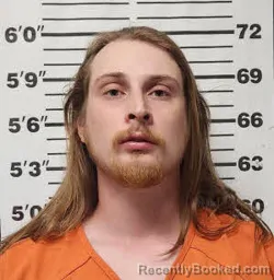 Mugshot of BRUCE MICHAEL SWANGER