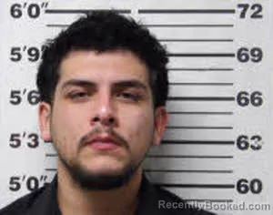 Mugshot of BRYAN SOSA-RUIZ
