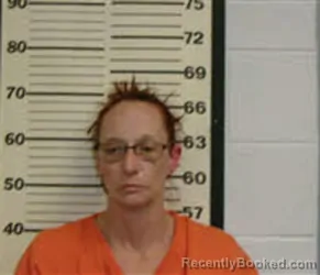 Mugshot of BRANDY MARIE ROBINSON