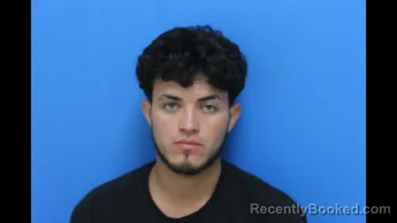 Mugshot of Wilton Josue Rochoa - Raya