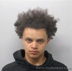 Booking photo from Chatham County, North Carolina