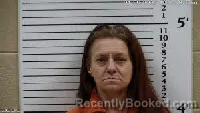 Mugshot of Christy Ann Adkins