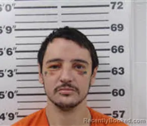 Mugshot of JOHN DAVID RIES