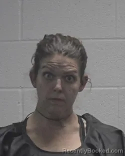 Mugshot of EMILY LEDFORD CLONINGER