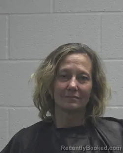 Mugshot of TAMMY DENISE MCABEE
