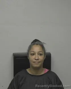 Mugshot of BRANDI NICOLE HUDSON