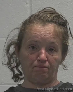 Mugshot of TINA LOUISE DAVIS
